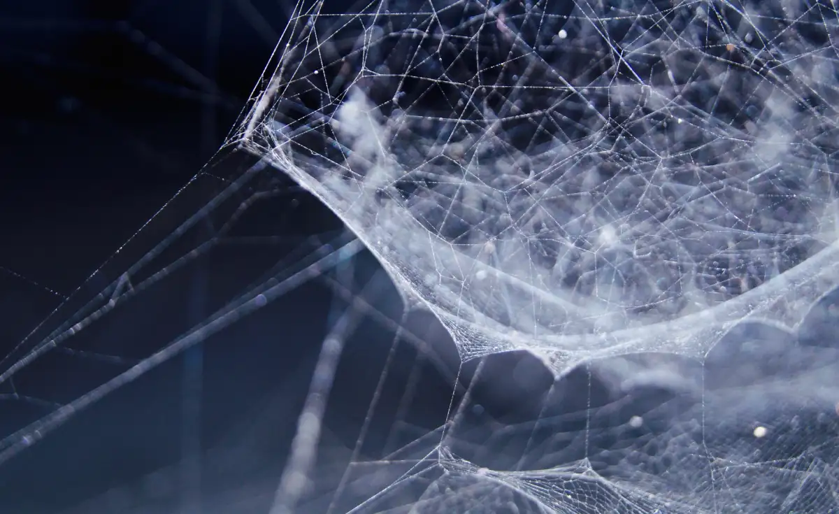 Hello World! Ein weiterer Finanzblog geht ans Netz.