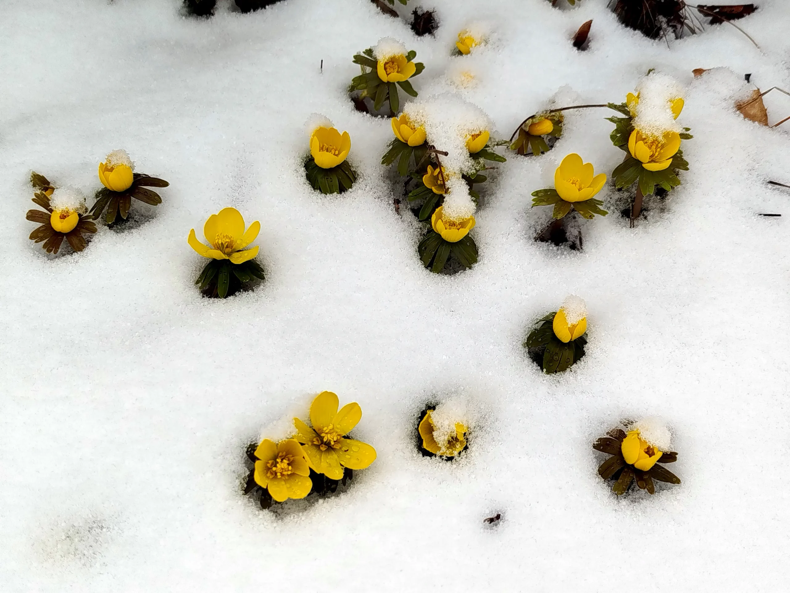 Freitag ab eins macht jeder seins …